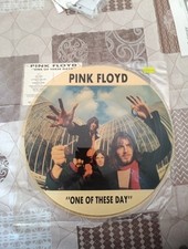 Picture disc pink usato  Cormano