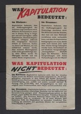 Riginal alliiertes flugblatt gebraucht kaufen  Konstanz