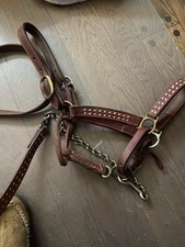 halters horse for sale halters horse for sale Batavia