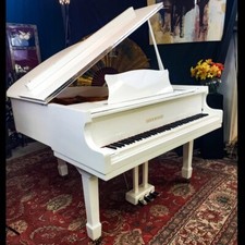 Brand new sherwood for sale  Lilburn
