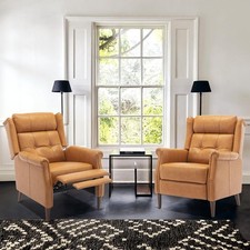 Pushback faux leather for sale  Eugene