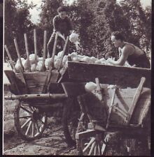 1953 obernai ramassage d'occasion  France