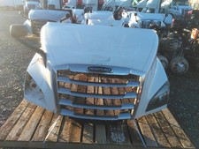 Freightliner cascadia 116 for sale  USA