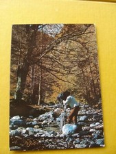 Parco nazionale abruzzo usato  Frosinone