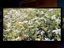 Dell p4317q inch for sale  Brooklyn