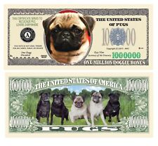 Pack 100 bills for sale  Clearwater