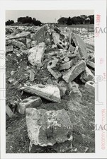 1988 press photo for sale  Memphis