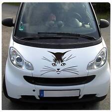 Katze katzenkopf motorhauben gebraucht kaufen  Darmstadt