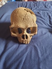 Resin human skull for sale  CREWE