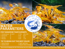 Shrimplive tangerine tiger for sale  Walnut Creek