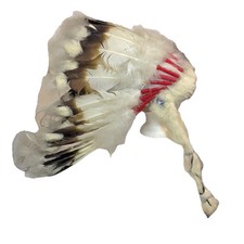 Vintage native american for sale  Sallisaw