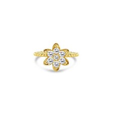 Tall diamond tulip for sale  Sugar Land