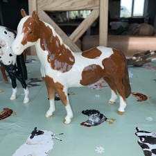 Beswick skewbald pony for sale  MALTON