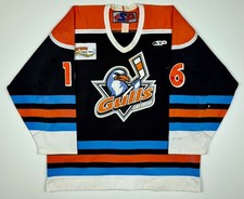 San diego gulls for sale  Sanborn
