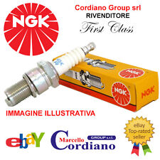 Candele ngk alfa usato  Settimo Milanese