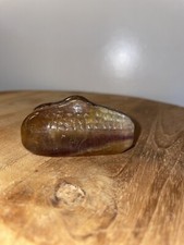 Fluorite crocodile alligator for sale  CARDIFF