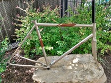 City space horse for sale  San Marcos
