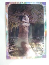 Panini Harry Potter Inspirações Mágicas escolha cartas paralelas douradas e onduladas arco-íris comprar usado  Enviando para Brazil