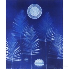 Max ernst serigrafie gebraucht kaufen Max ernst serigrafie gebraucht kaufen  Deutschland