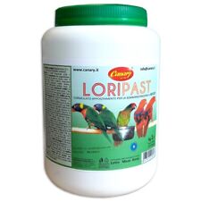 Canary pastoncino loripast usato  Bevagna
