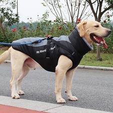 Warm outdoor dog for sale  LONDON