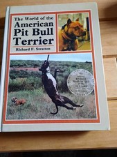 pitbull terrier for sale  TEWKESBURY