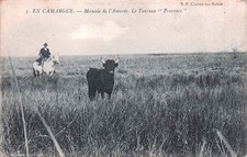 Camargue manade amaree d'occasion  Expédié en Belgium