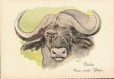 Cn1198 cartolina nuova usato Cn1198 cartolina nuova usato  Tramonti