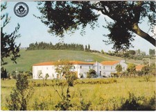 Castellina marittima pisa usato  Italia