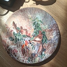 Coalport collectors plate for sale  MARKET RASEN