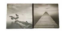 Black white photo for sale  Eaton