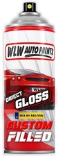 Spray aerosol paint for sale  ENNISKILLEN