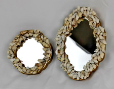 Coastal shell framed for sale  New Paris