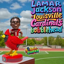 Lamar jackson louisville for sale  Storrs Mansfield