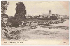 Worcester weir early for sale  GREENHITHE