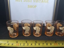 Labrador dog shot for sale Labrador dog shot for sale  BIRKENHEAD