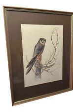 Pat lewis birds for sale  NEWENT