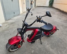 Modello citycoco scuter usato  Valvestino