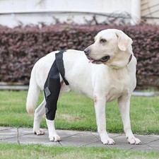 Knieschoner hunde hunde gebraucht kaufen  Euskirchen