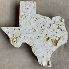 Fossilized coral state for sale  Woodland