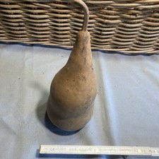 Kalebasse flaschenkürbis bast gebraucht kaufen  Eberhardzell
