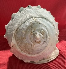 Vintage queen helmet for sale  Canton