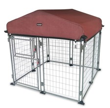 Pet companion dog for sale  Brentwood