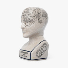 Phrenology testa ornamentale usato Phrenology testa ornamentale usato  Roma