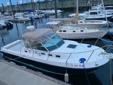 2000 albin te for sale  Califon