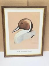 Vintage pintail duck for sale  Oshkosh