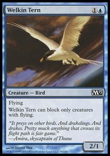 Mtg welkin tern usato  Bari