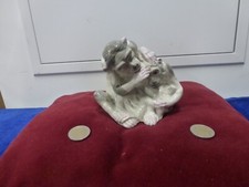Mere singe petit d'occasion  Ajaccio-