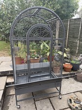 Rainforest santa marta for sale  TAMWORTH