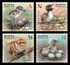 Belarus 2018. Birds. Fauna. Children's Philately - Chicks. MNH na sprzedaż  PL